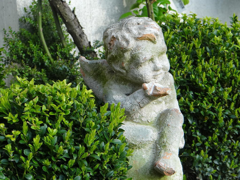 Bed and Breakfast La Bastide De Barbizon Esterno foto